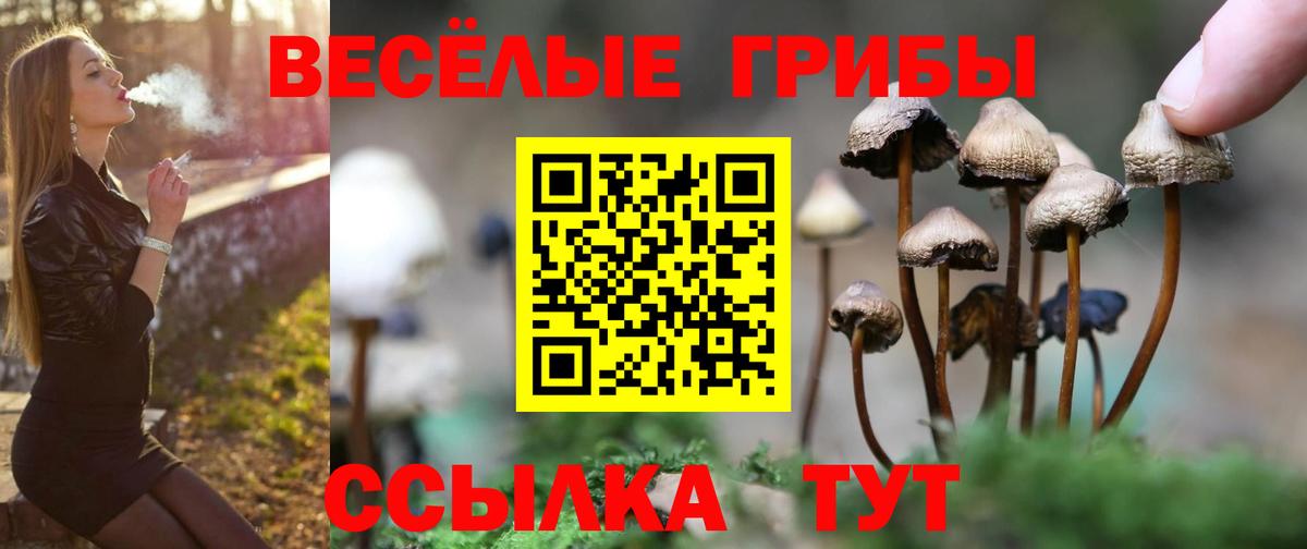 Псилоцибиновые грибы мухоморы Старая Русса