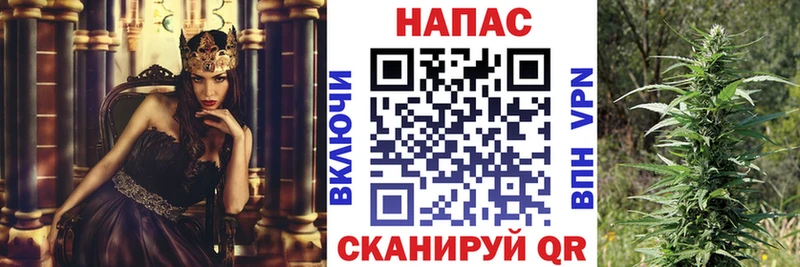 купить закладку Старая Русса МАРИХУАНА ГИДРОПОН